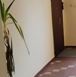 Продажа 2-комн квартиры на вторичном рынке Измайловское шоссе, 47 Продажа 2-комн квартиры на вторичном рынке Измайловское шоссе, 47