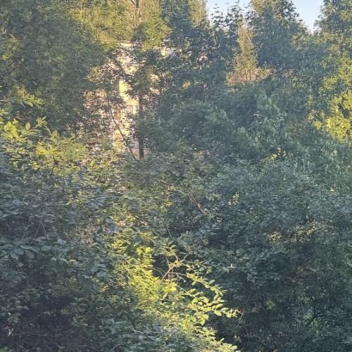 2-комн квартира Колпино, улица Вавилова, 22