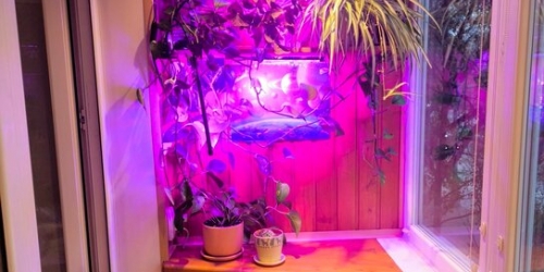 1-комн квартира Нахимовский пр-кт,  д. 22