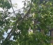 Сдать в аренду Квартиры вторичка Окская улица, 7А   