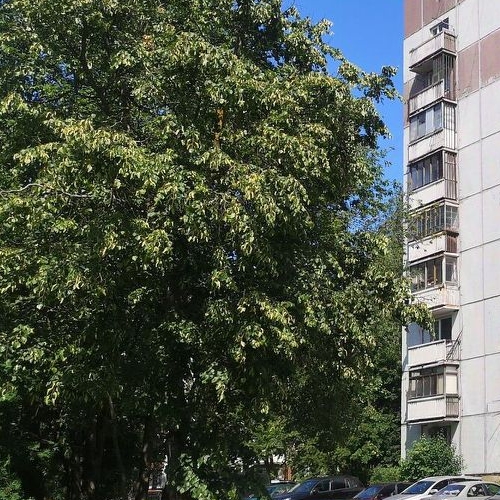 2-комн квартира Всеволожск, улица Плоткина, 5