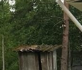 Продать Дачи, коттеджи, загородные дома Мшинская садоводческий массив, Пролетарец СНТ  73 