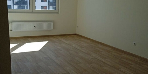 1-комн квартира улица Руднева,  д. 15