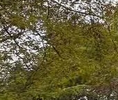 Продать Комнаты в квартирах улица Коненкова, 14   