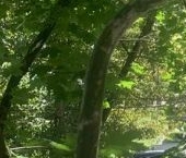 Продать Квартиры вторичка Солнечногорский проезд, 3К1   