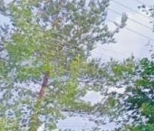 Продать Дачи, коттеджи, загородные дома Символ СНТ  158 