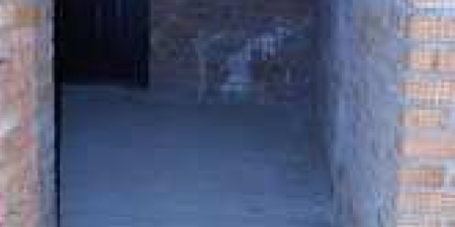 1-комн квартира Ожерелье, ул. Пионерская,  д. 20