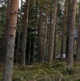 Продажа земли Лесное озеро кп,  д. 2