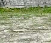 Продать Земельные участки, земля Красный Октябрь СНТ, 5-я линия   