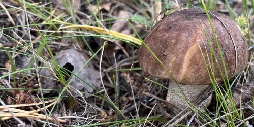 2-комн квартира пос. Тярлево, Московское шоссе, 35