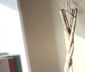 Сдать в аренду Квартиры вторичка Большой Волоколамский проезд, 23   