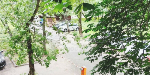 1-комн квартира Снежная улица,  д. 1