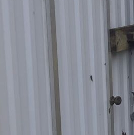 Продажа земли пос. Красная Заря, 224 Продажа земли пос. Красная Заря, 224