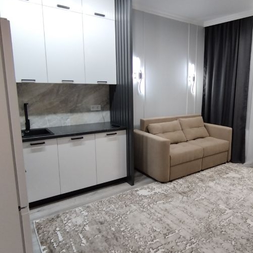 Студия пос. Бугры, улица Тихая, 3к2