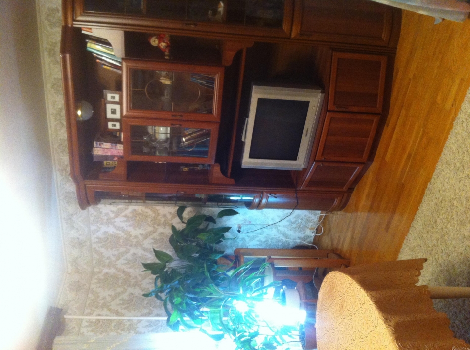 Аренда 3-комн квартиры на вторичном рынке Пушкин г, Вячеслава Шишкова ул ,  д. 28