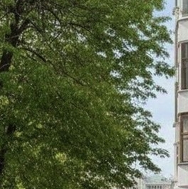 Продажа 2-комн квартиры на вторичном рынке Староконюшенный переулок, 45 Продажа 2-комн квартиры на вторичном рынке Староконюшенный переулок, 45