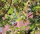 Продать Квартиры вторичка Веселая улица, 4   