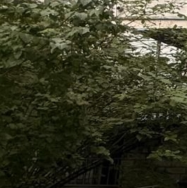 Продажа 1-комн квартиры на вторичном рынке Комендантский проспект, 21к1 Продажа 1-комн квартиры на вторичном рынке Комендантский проспект, 21к1