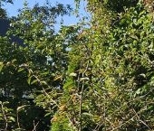 Продать Дачи, коттеджи, загородные дома Искра СНТ, улица Прилуговая   