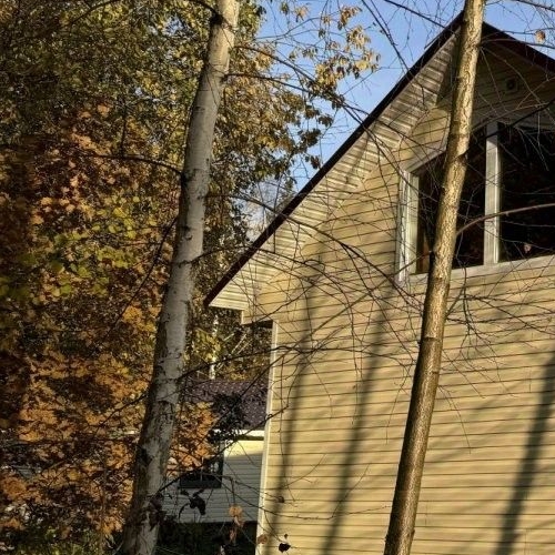 Коттедж/дом Вырица городской поселок, улица Литинская