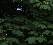 Продать Квартиры вторичка Индустриальный проспект, 29к2   