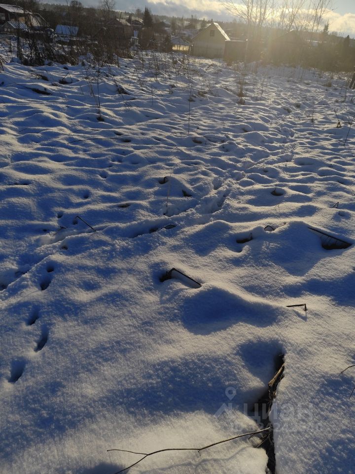 Продажа земли д. Старые Низковицы, улица Центральная