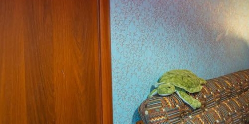 2-комн квартира проспект Металлистов, 25К1