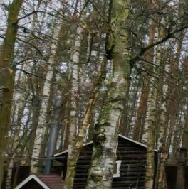 Продажа дома д. Большие Пороги, 33