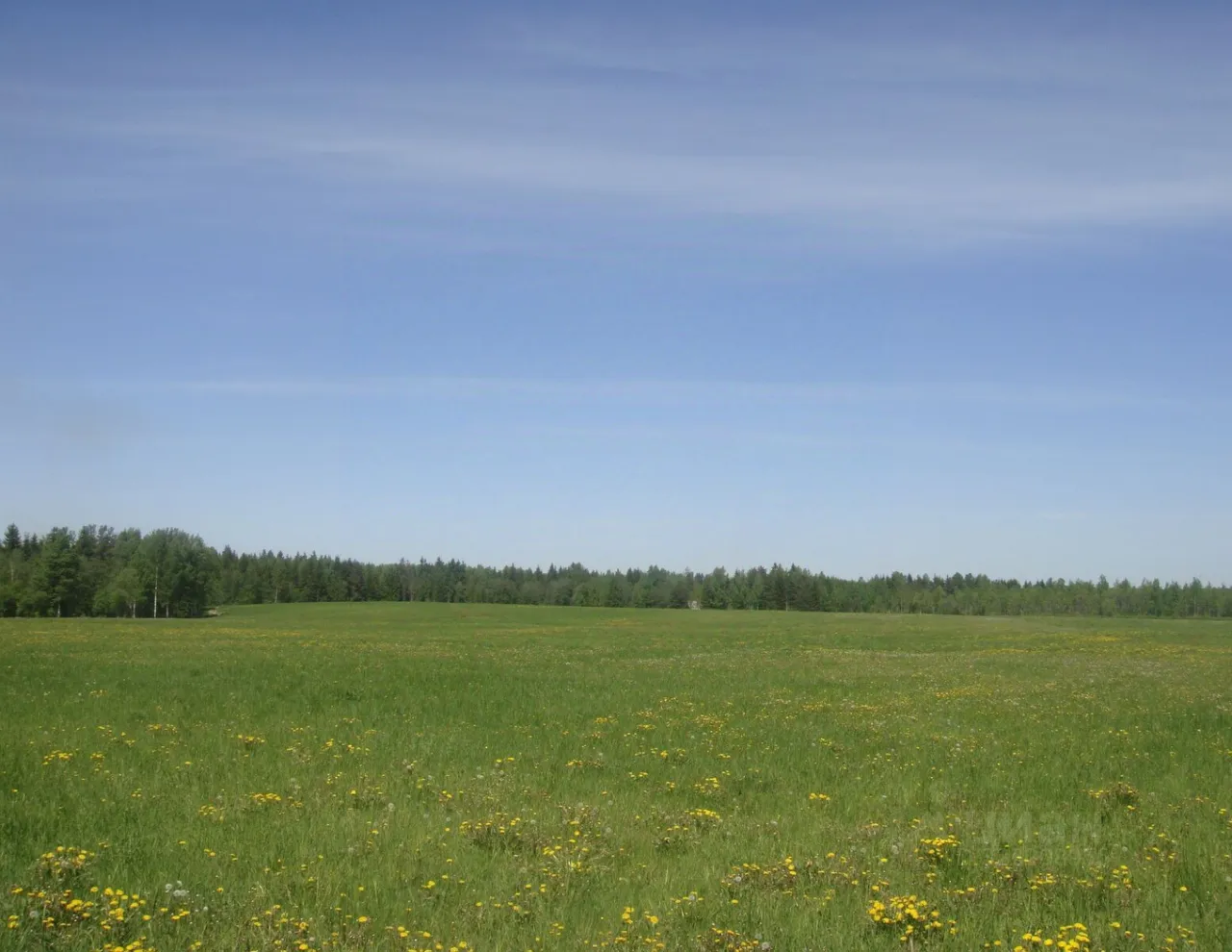 Продажа земли Толмачево городской поселок