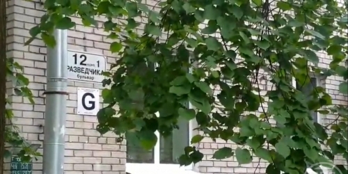 1-комн квартира Петергоф г., Разведчика бул. ,  д. 12,  к. 1