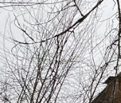 Продать Квартиры вторичка Ключевая улица, 7   