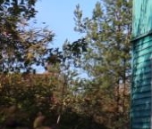 Продать Дачи, коттеджи, загородные дома Михайловский садоводческий массив, Радуга СНТ, улица 17-я, 325   