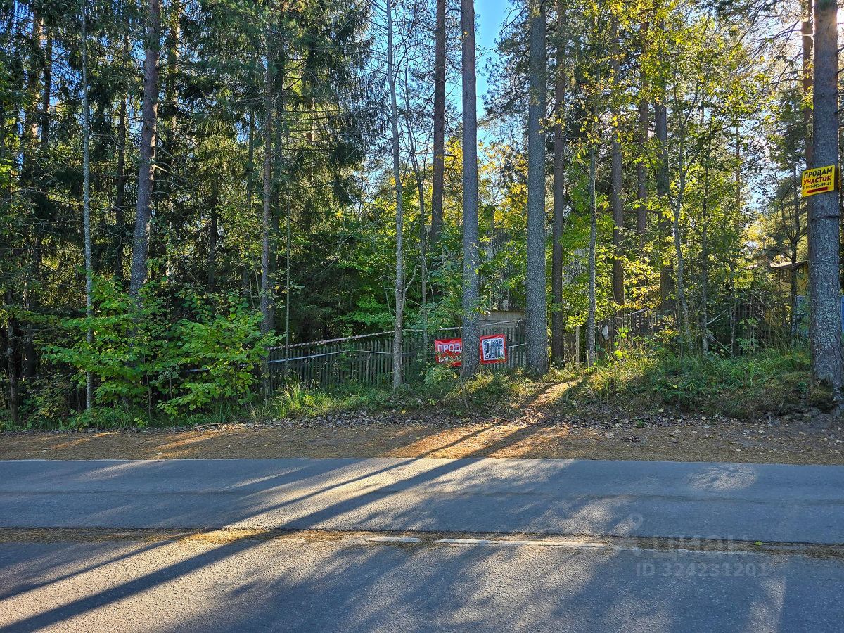 Продажа земли Борки дачный потребительский кооператив,  д. 3