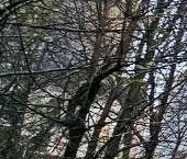 Продать Квартиры вторичка улица Бутырский Вал, 28   