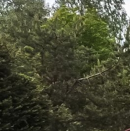 Продажа дома Крутая Гора садоводческий массив, Электрон СНТ, аллея 2-я,  д. 9