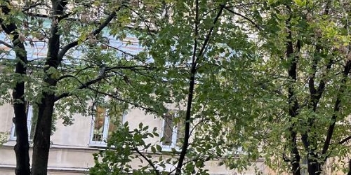 3-комн квартира Мытнинский переулок, 10