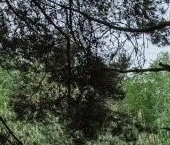 Продать Дачи, коттеджи, загородные дома д. Токкари, улица Центральная, 1   