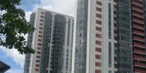 1-комн квартира Ириновский проспект, 34