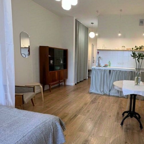 Студия пос. Шушары, проспект Старорусский, 8к1