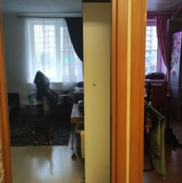 Продажа 1-комн квартиры на вторичном рынке Богатырский пр-кт,  д. 51 к1