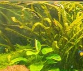 Продать Квартиры вторичка Подольск, Молодежная улица, 5   