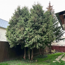 Продажа дома Раменский р-н, Заворово с, СоколовоСНТ тер Продажа дома Раменский р-н, Заворово с, СоколовоСНТ тер