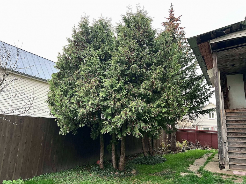 Продажа дома Раменский р-н, Заворово с, СоколовоСНТ  тер