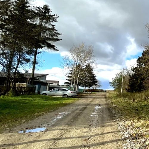 Коттедж/дом д. Скворицы, 8