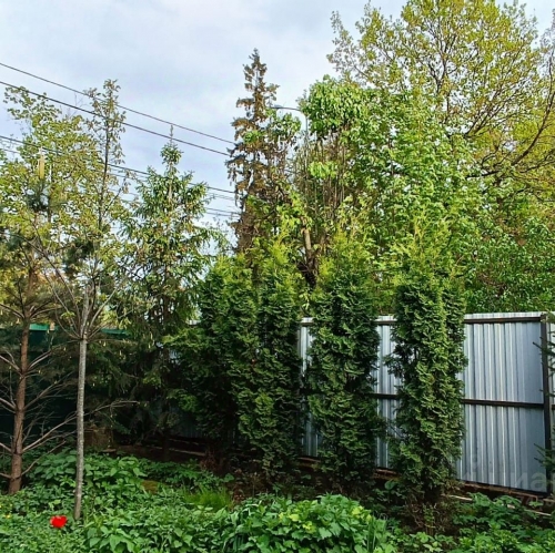 Коттедж/дом Жаворонки, 1-я Советская улица,  д. 18