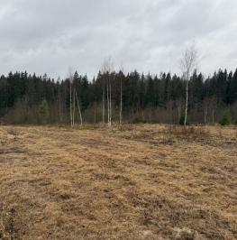 Продажа земли Большое Прокошево, 46К-8132 Продажа земли Большое Прокошево, 46К-8132