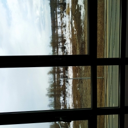 Аренда студии Шушары п, Сарицкая ул,  д. 11