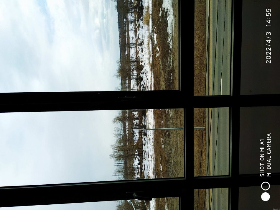 Аренда студии Шушары п, Сарицкая ул,  д. 11