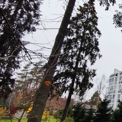 1-комн квартира Зеленогорск, Гражданская улица, 1