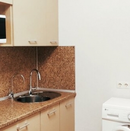 Аренда 1-комн квартиры на вторичном рынке Пушкин г, Оранжерейная ул,  д. 51А